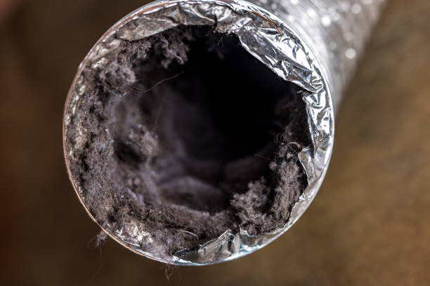 Best Emergency Air Duct Cleaning  in Campbellsport, WI
