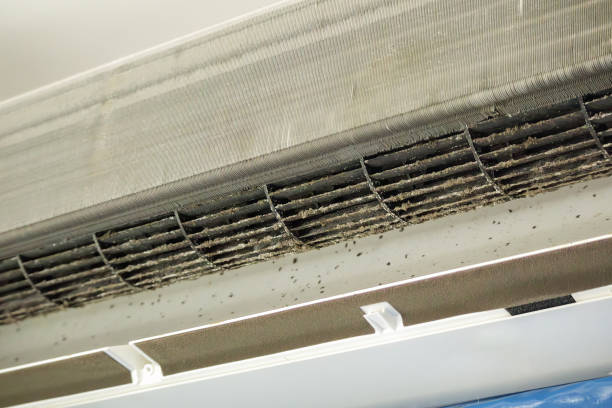Best Ventilation Cleaning Services  in Campbellsport, WI